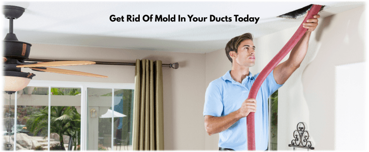 Air Duct Mold Removal in Pearland