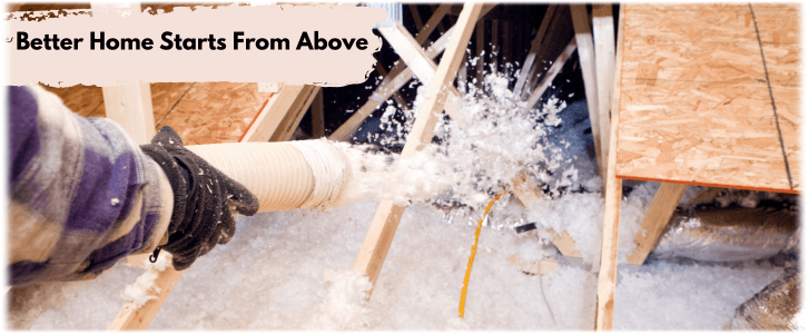 Attic Cleaning Pearland