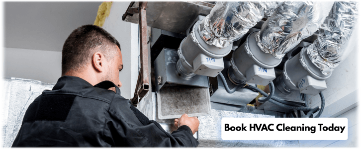 HVAC Mold Removal Pearland